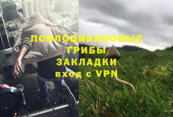 гидра Аркадак