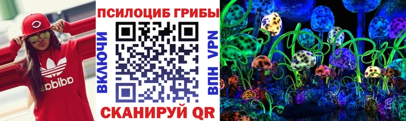Галлюциногенные грибы GOLDEN TEACHER Татарск
